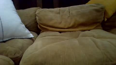 Snapshot of averagecock696969 chatting on 02/23/25, 06:17 averagecock696969 online show from 02/23/25, 06:17