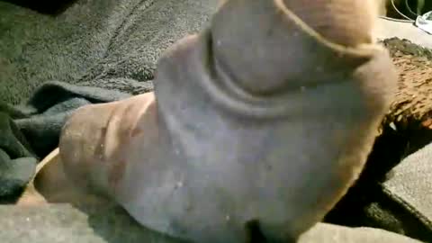 Snapshot of axelle_garcia chatting on 11/07/25, 10:21 Axelle online show from 11/07/25, 10:21