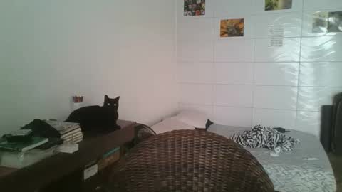 babydemon6 online show from 11/14/25, 06:50