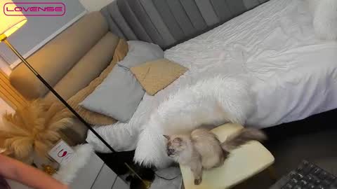 Snapshot of babygoddess4u chatting on 10/27/25, 01:48 ASK ME IN PM online show from 10/27/25, 01:48