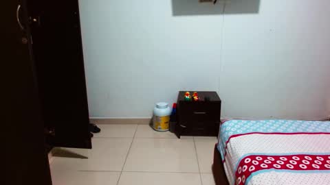 Snapshot of babysebasxxx chatting on 10/23/25, 03:06 sebas online show from 10/23/25, 03:06