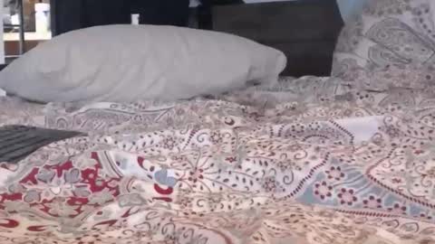 baker305 online show from 09/29/25, 04:17