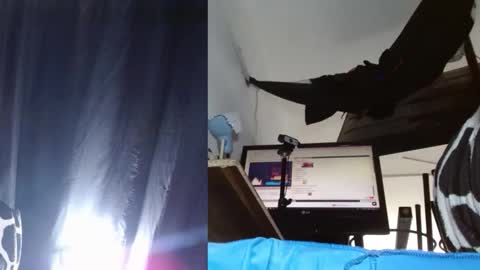 bambam online show from 11/24/25, 04:18