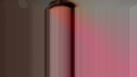 Summer online show from 11/06/25, 08:26