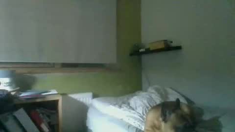 bart_poland online show from 10/23/25, 09:02