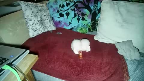 mikiforfun online show from 11/18/25, 11:26