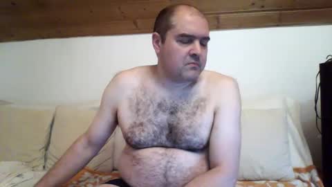 Snapshot of bear037 chatting on 12/26/24, 12:46 bear037 online show from 12/26/24, 12:46