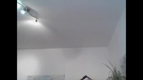 bear14250949 online show from 11/02/25, 11:45