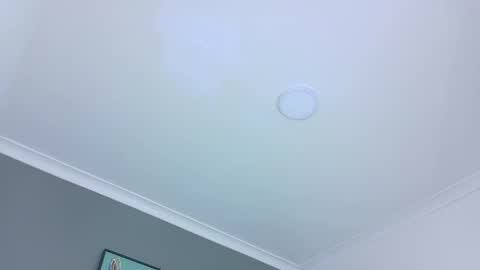 Snapshot of belamiller chatting on 10/28/25, 11:36 BELA online show from 10/28/25, 11:36