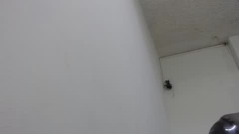 Snapshot of bella_lady_1_ chatting on 02/13/25, 08:24 lady online show from 02/13/25, 08:24