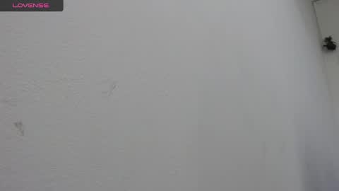 Snapshot of bella_lady_1_ chatting on 02/19/25, 08:41 lady online show from 02/19/25, 08:41