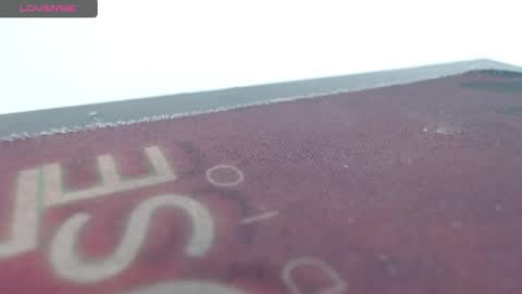 Snapshot of bella_lady_1_ chatting on 03/12/25, 11:33 lady online show from 03/12/25, 11:33