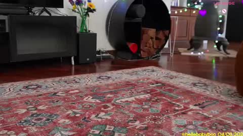 BELLE   online show from 03/04/25, 01:12