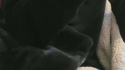 benx12123 online show from 02/16/25, 06:21