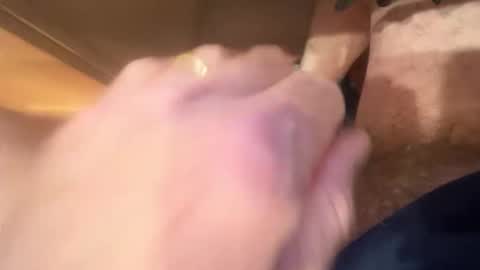 bernie47161 online show from 11/14/25, 12:04