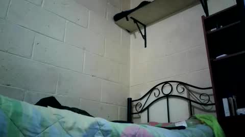 bichopeludo online show from 10/06/25, 12:08