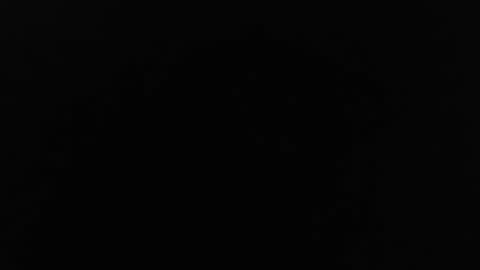 Jinn online show from 12/24/24, 11:33