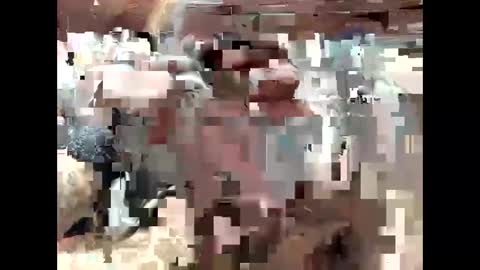 Snapshot of bigdaddy1231995 chatting on 09/15/25, 06:41 BigDaddykodack online show from 09/15/25, 06:41