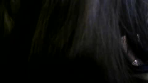 bigdickboy961569 online show from 11/14/25, 02:21