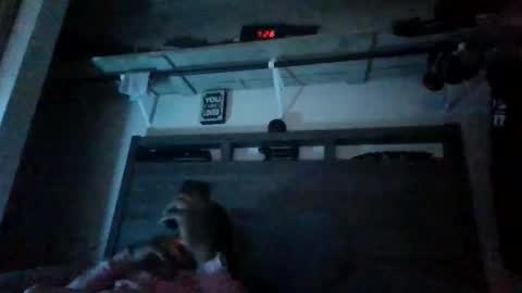 bigdickdaddy3200798456 online show from 12/28/24, 01:08