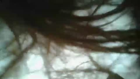 daddy online show from 01/19/25, 03:42