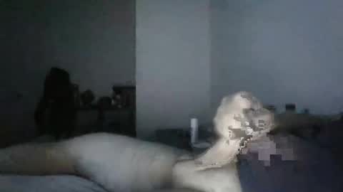 Snapshot of bigo9999 chatting on 12/19/24, 08:23 BigO online show from 12/19/24, 08:23