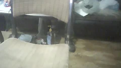 bigpenix online show from 10/17/25, 02:04