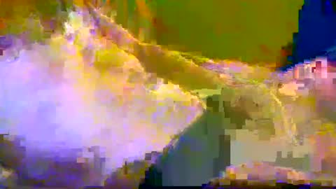 Snapshot of bigrigxxxx chatting on 12/10/24, 12:16 bigrig online show from 12/10/24, 12:16