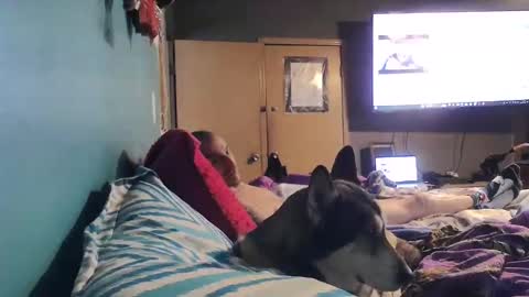 bigtomcat45 online show from 12/24/24, 06:17