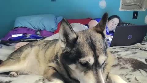 bigtomcat45 online show from 12/26/24, 10:52