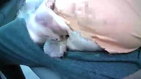 bikeman17 online show from 10/04/25, 08:45