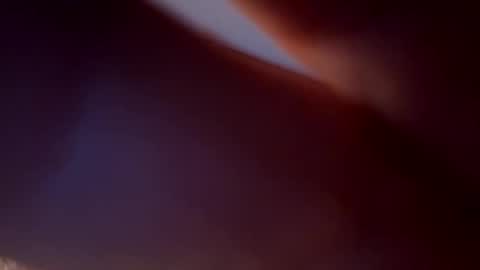 Snapshot of bird70 chatting on 11/16/25, 06:30 spunday online show from 11/16/25, 06:30