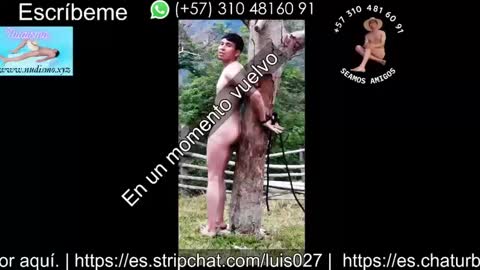 Snapshot of bisexual0007 chatting on 09/18/25, 02:35 luis027 online show from 09/18/25, 02:35