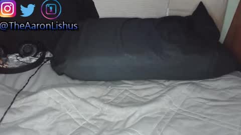 Snapshot of bizarre99 chatting on 01/13/25, 05:12 bizarre99 online show from 01/13/25, 05:12