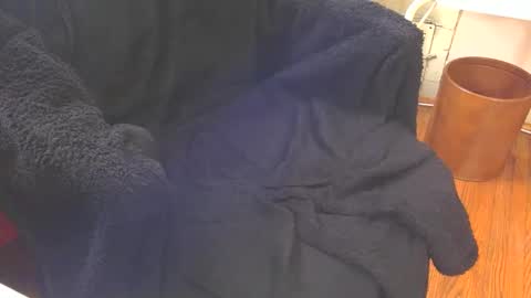 Snapshot of blackuncut55 chatting on 02/18/25, 06:47 Aqua online show from 02/18/25, 06:47