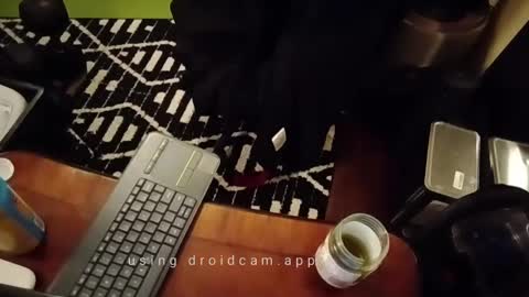 Blackjag00 online show from 02/13/25, 10:12