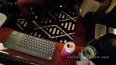 Blackjag00 online show from 02/14/25, 05:41