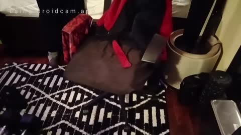 Blackjag00 online show from 02/23/25, 10:06