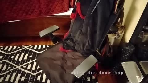 Blackjag00 online show from 03/03/25, 09:22