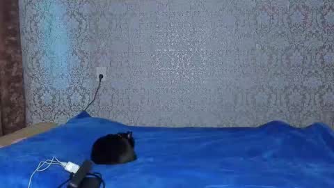 Snapshot of bloemetjes chatting on 10/16/25, 10:00 bloemetjes online show from 10/16/25, 10:00