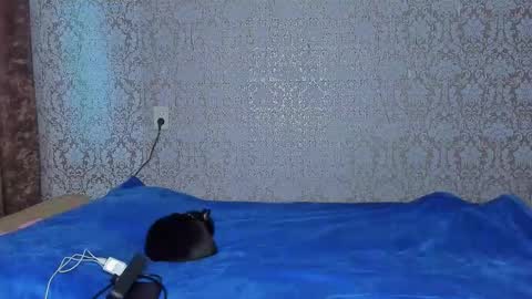 Snapshot of bloemetjes chatting on 10/24/25, 05:04 bloemetjes online show from 10/24/25, 05:04