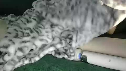 lyss online show from 10/28/25, 09:39