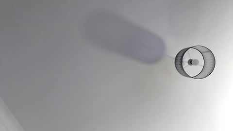 Snapshot of bobby160968 chatting on 11/19/25, 07:03 bobby160968 online show from 11/19/25, 07:03