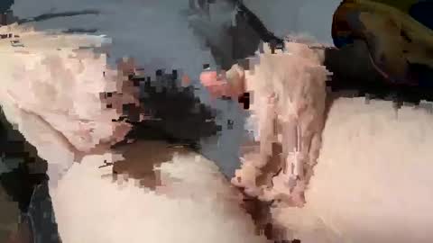 Heath online show from 03/03/25, 01:53