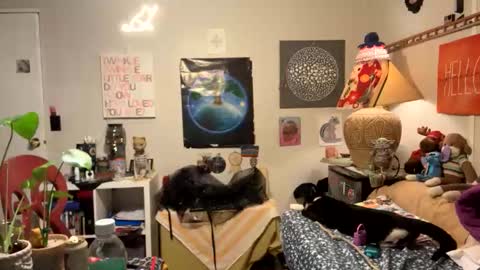 bobbyq2969 online show from 11/13/25, 03:38