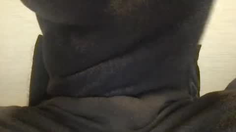 boblight221 online show from 01/09/25, 09:58