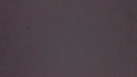 bonershow online show from 11/21/25, 02:27