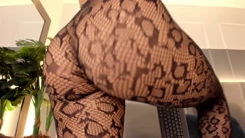Snapshot of bonnie_bloom chatting on 01/03/25, 11:23 Bonnie online show from 01/03/25, 11:23