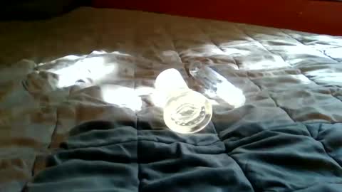 Bootsy online show from 09/22/25, 07:49