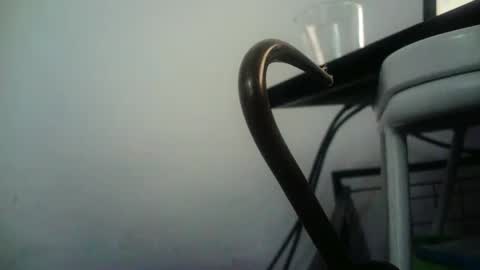 Snapshot of bottommlad chatting on 01/09/25, 08:01 BottoMMlad online show from 01/09/25, 08:01